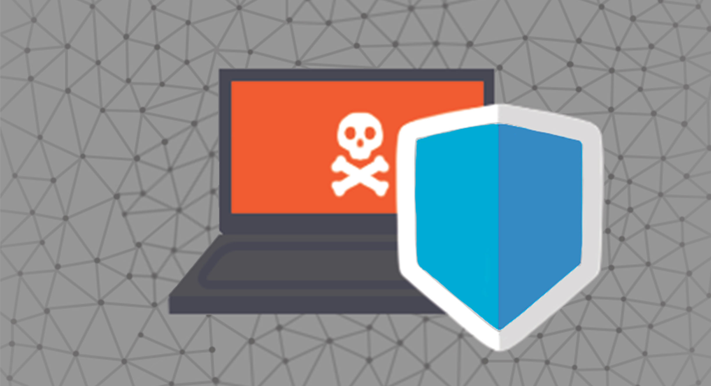 Network Vulnerability Defense